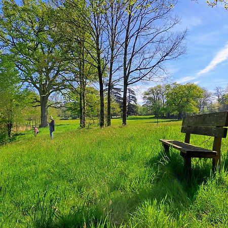 Domaine Des Roches Blanches Villa Le Pin  Dış mekan fotoğraf