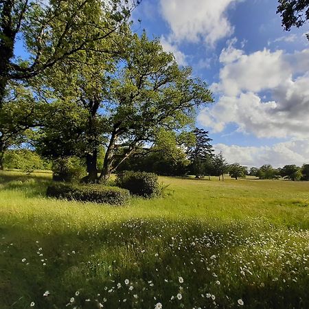 Domaine Des Roches Blanches Villa Le Pin  Dış mekan fotoğraf