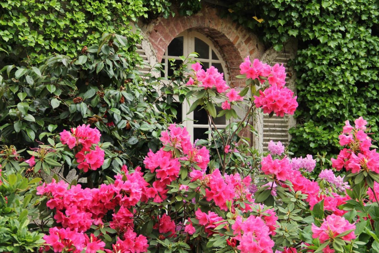 Domaine Des Roches Blanches Villa Le Pin  Dış mekan fotoğraf