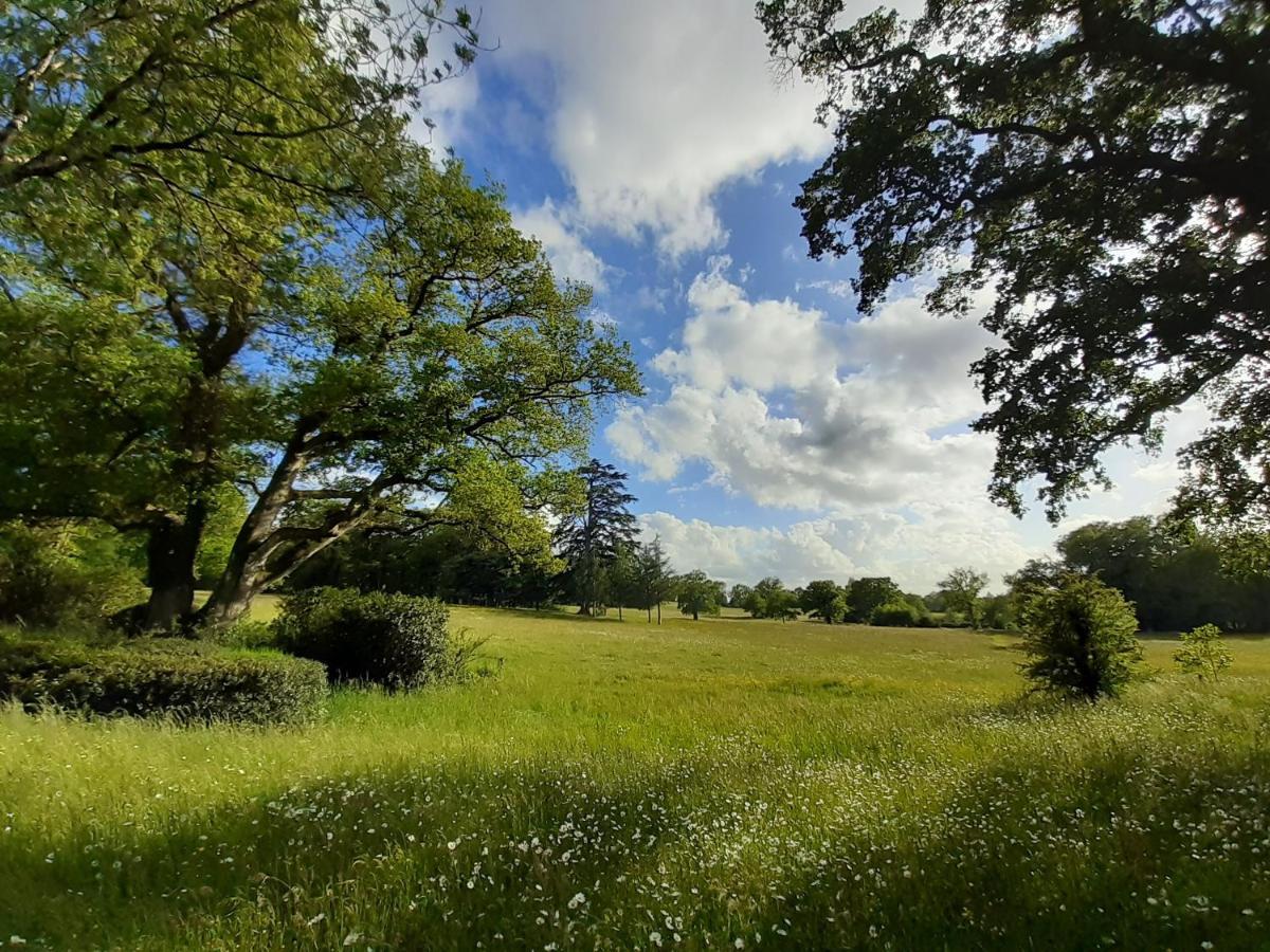 Domaine Des Roches Blanches Villa Le Pin  Dış mekan fotoğraf