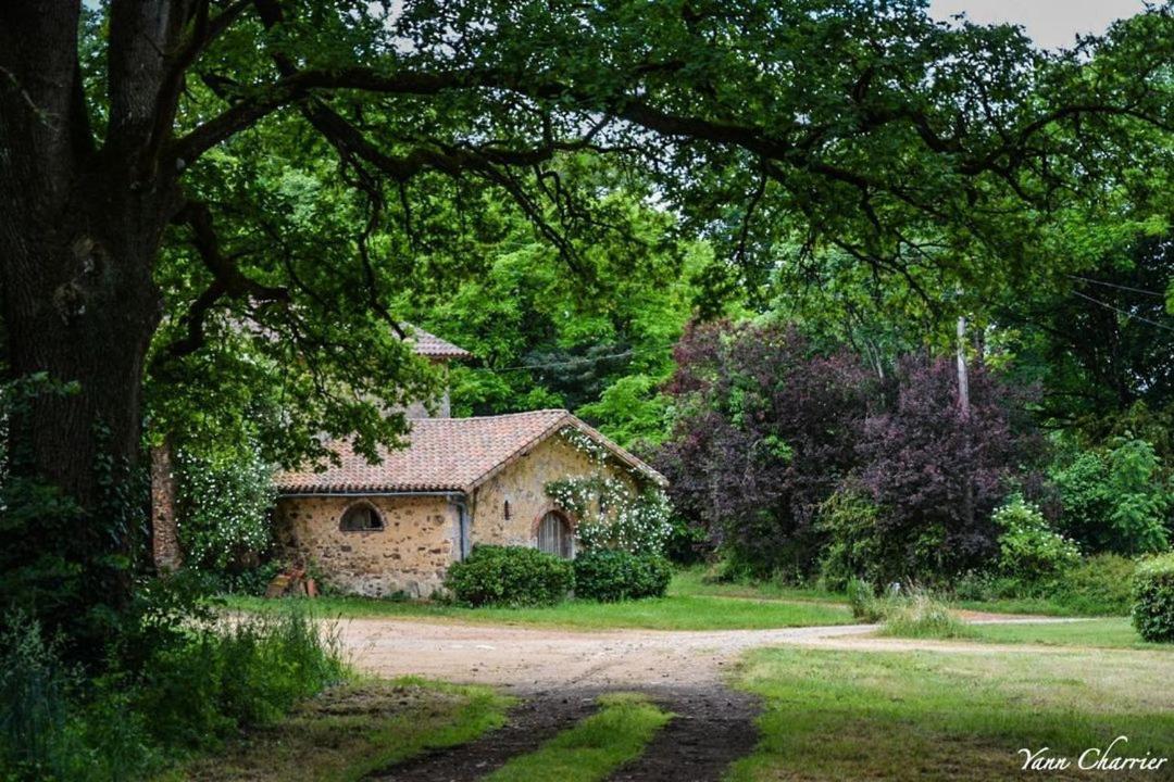 Domaine Des Roches Blanches Villa Le Pin  Dış mekan fotoğraf