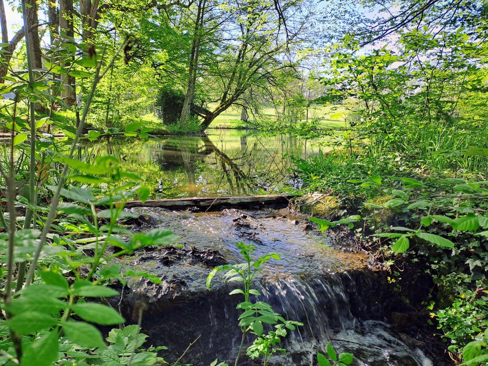 Domaine Des Roches Blanches Villa Le Pin  Dış mekan fotoğraf
