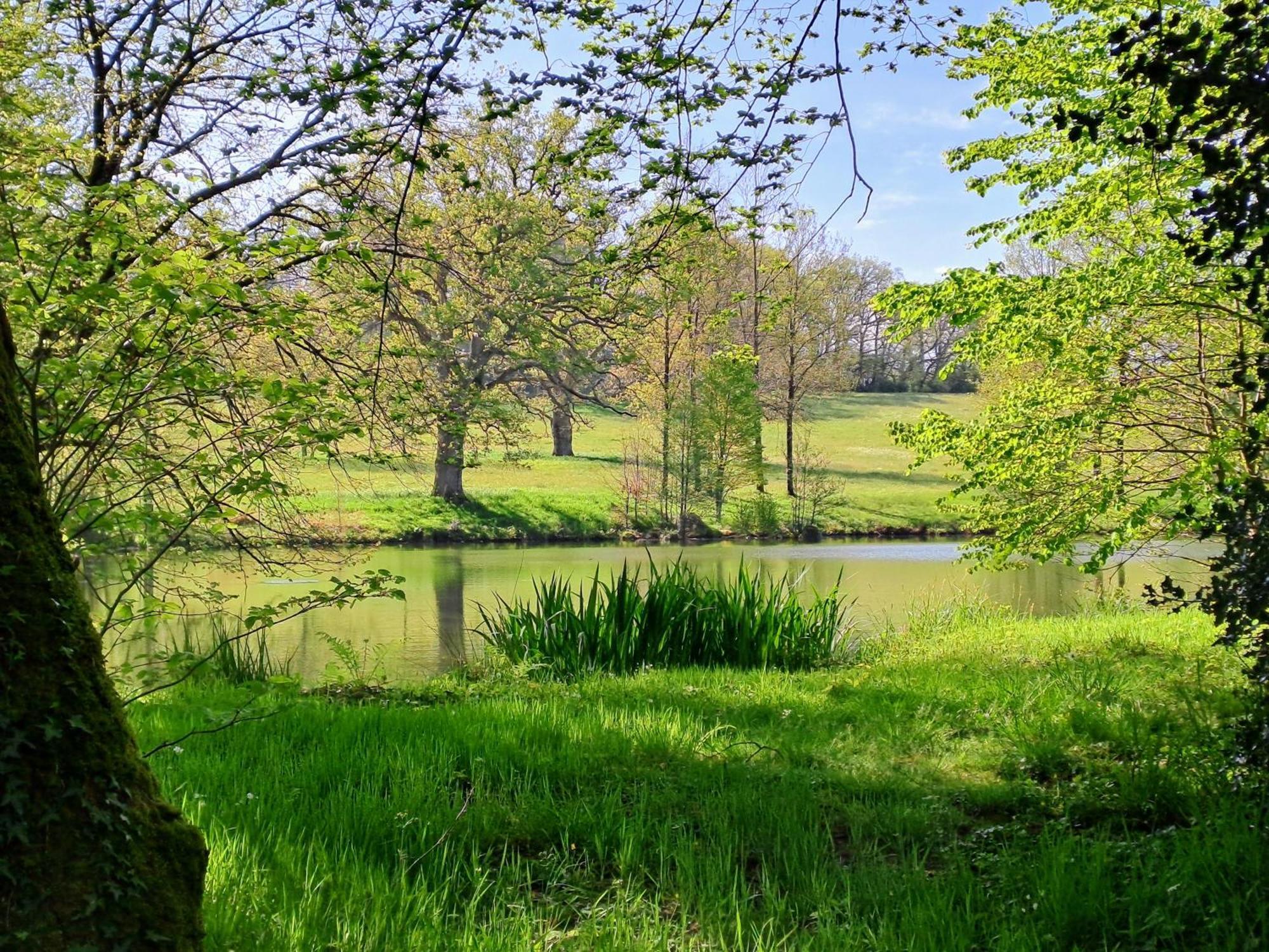 Domaine Des Roches Blanches Villa Le Pin  Dış mekan fotoğraf
