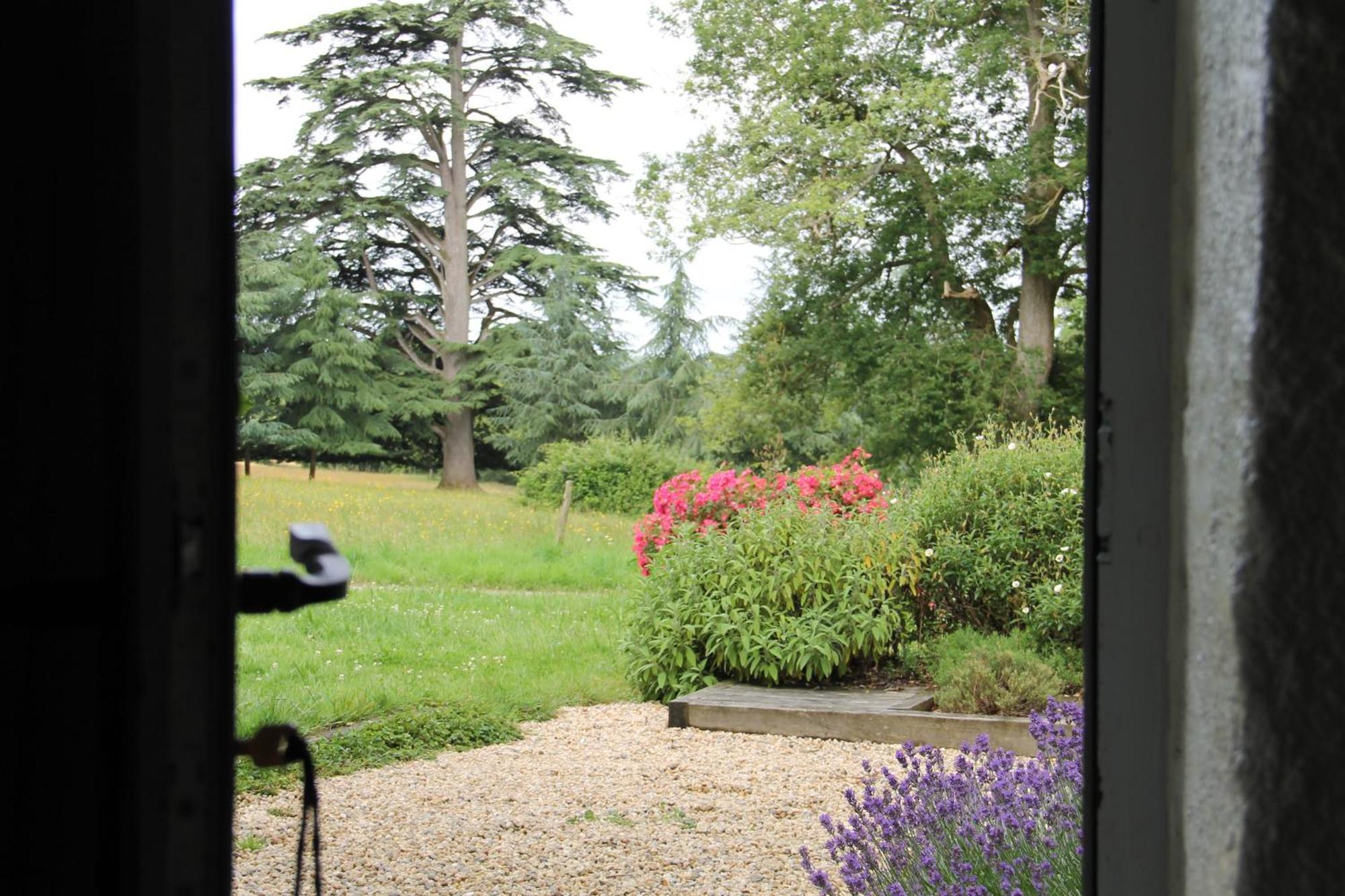 Domaine Des Roches Blanches Villa Le Pin  Dış mekan fotoğraf
