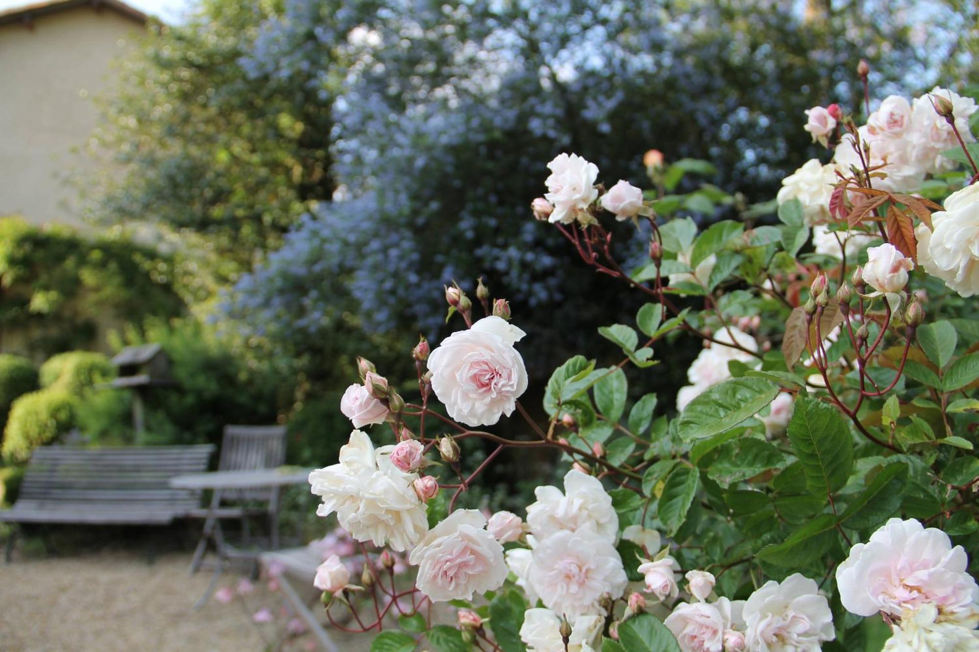 Domaine Des Roches Blanches Villa Le Pin  Dış mekan fotoğraf