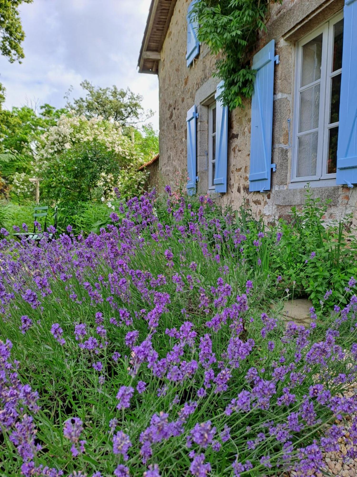 Domaine Des Roches Blanches Villa Le Pin  Dış mekan fotoğraf