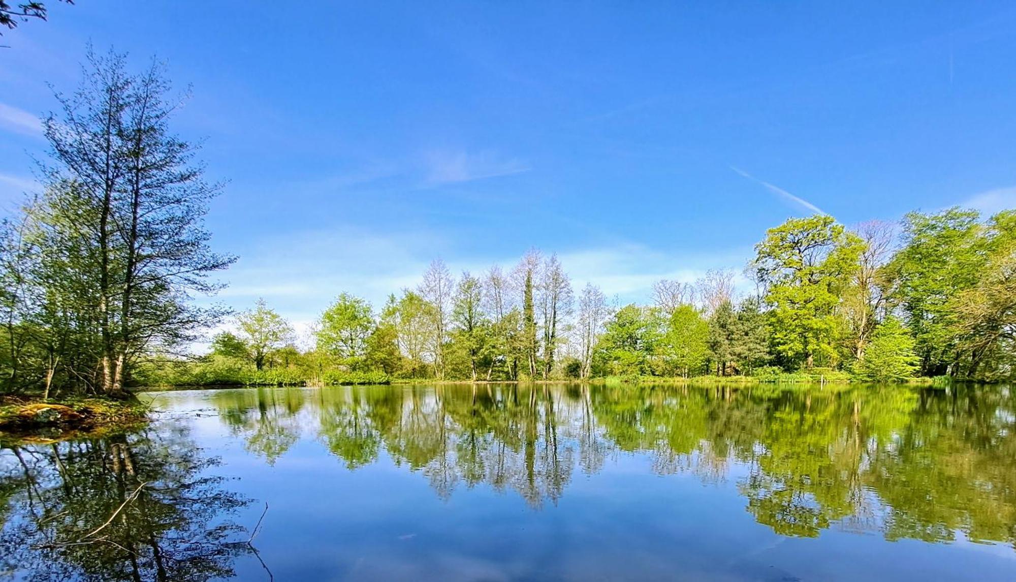 Domaine Des Roches Blanches Villa Le Pin  Dış mekan fotoğraf