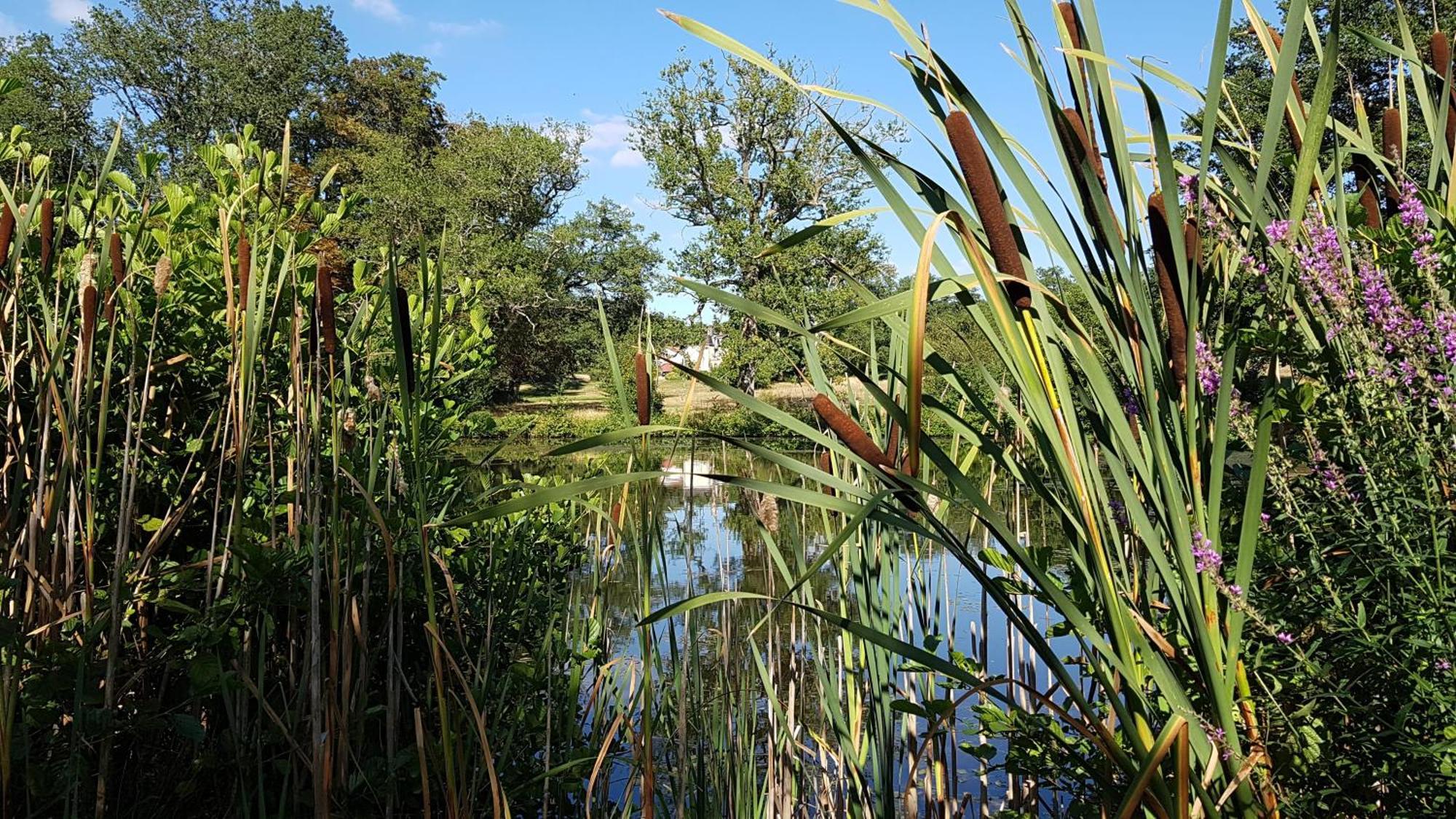 Domaine Des Roches Blanches Villa Le Pin  Dış mekan fotoğraf