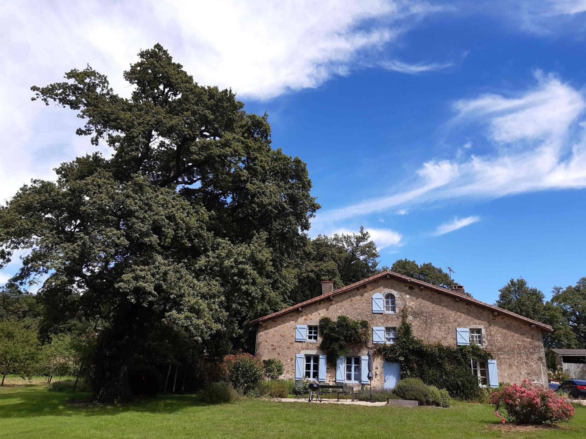Domaine Des Roches Blanches Villa Le Pin  Dış mekan fotoğraf