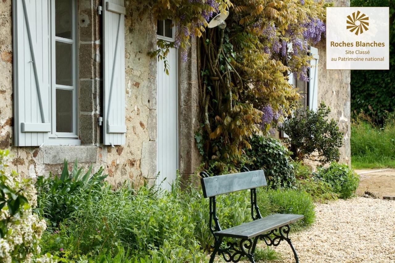 Domaine Des Roches Blanches Villa Le Pin  Dış mekan fotoğraf